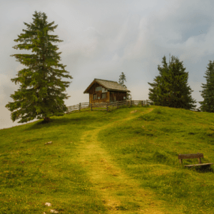 Cabane en haut d'une colline entouré de pins